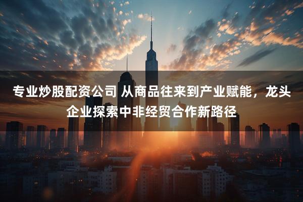 专业炒股配资公司 从商品往来到产业赋能，龙头企业探索中非经贸合作新路径
