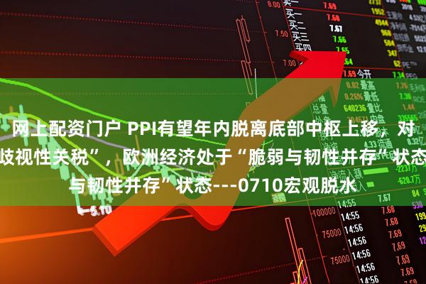 网上配资门户 PPI有望年内脱离底部中枢上移，对等关税本质上是“歧视性关税”，欧洲经济处于“脆弱与韧性并存”状态---0710宏观脱水